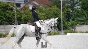 Melatih Kuda Dengan Penuh Kesabaran dan Keterampilan Tinggi