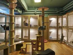 Penitipan Peliharaan: Layanan yang Terpercaya dan Berkualitas