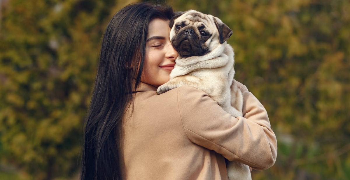 Pet Sitting: Cara Aman dan Nyaman Menjaga Hewan Peliharaan