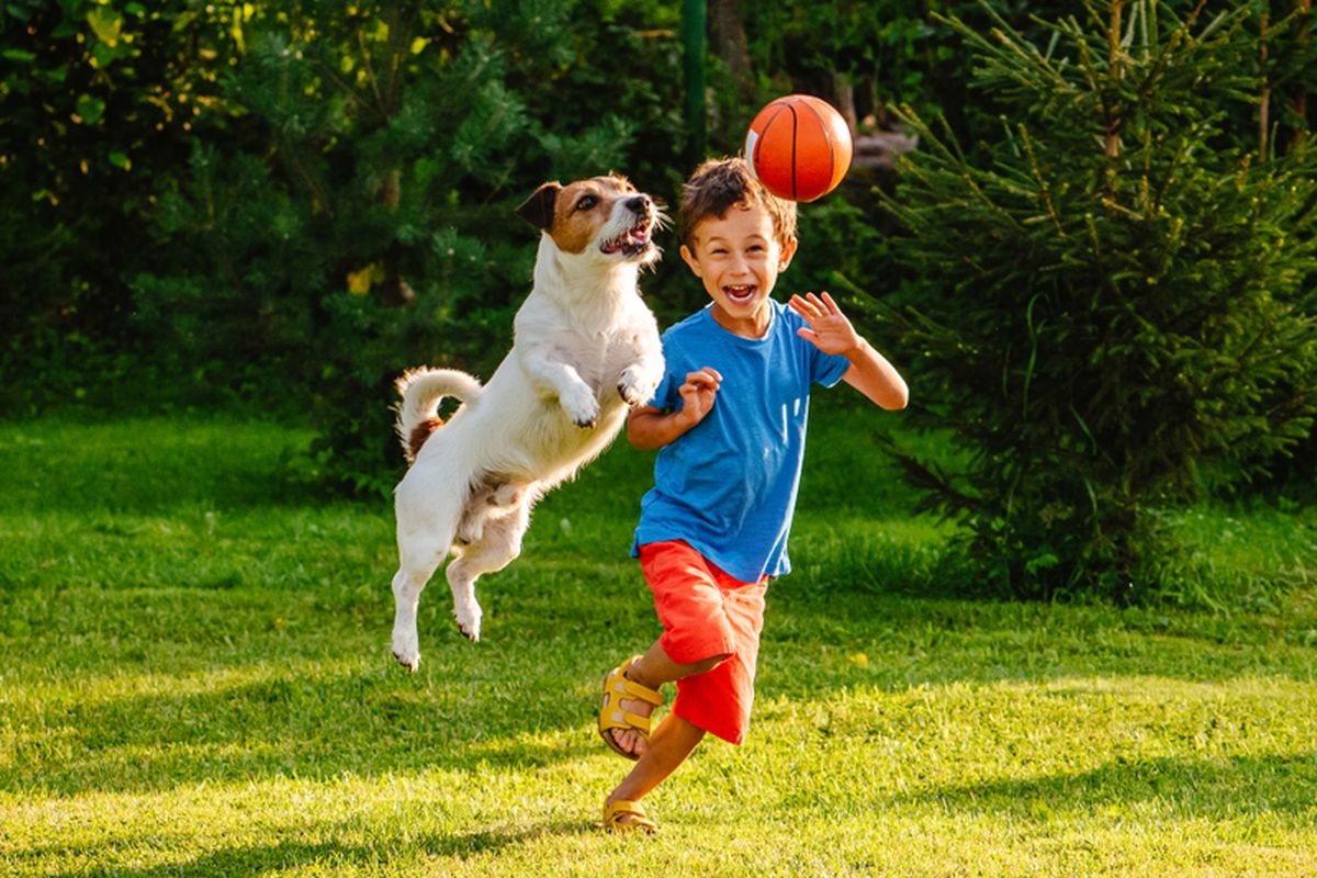 Aktivitas Outdoor yang Cocok untuk Bermain Bersama Anjing