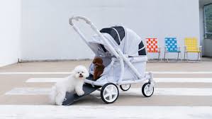 Stroller Modern